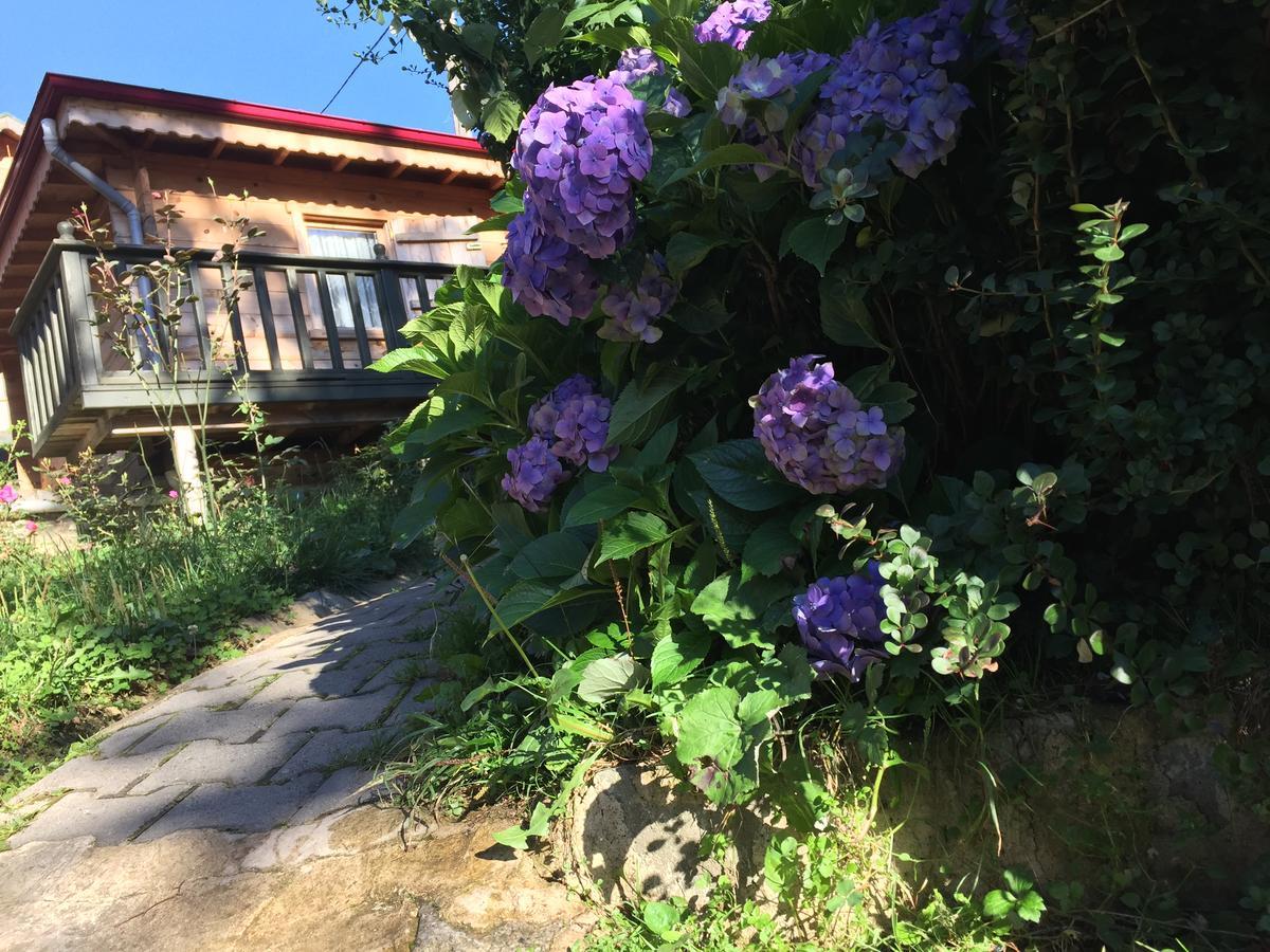 Pilita Bungalov&Rest Ayder Yaylasi Exterior photo